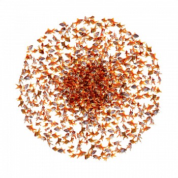 Ysabel LeMay -&nbsp;The Seed 48 x 48 in.