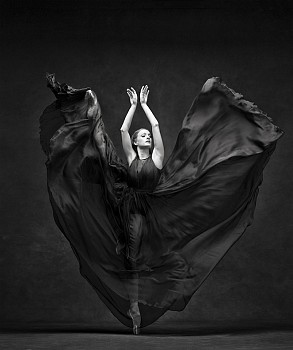 Ken Browar & Deborah Ory - Gillian Murphy 24 x 20 in.