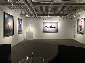 Ken Browar & Deborah Ory: NYC Dance Project&nbsp;