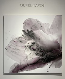 Past Exhibitions: Muriel Napoli Feb  1 - Mar 17, 2019