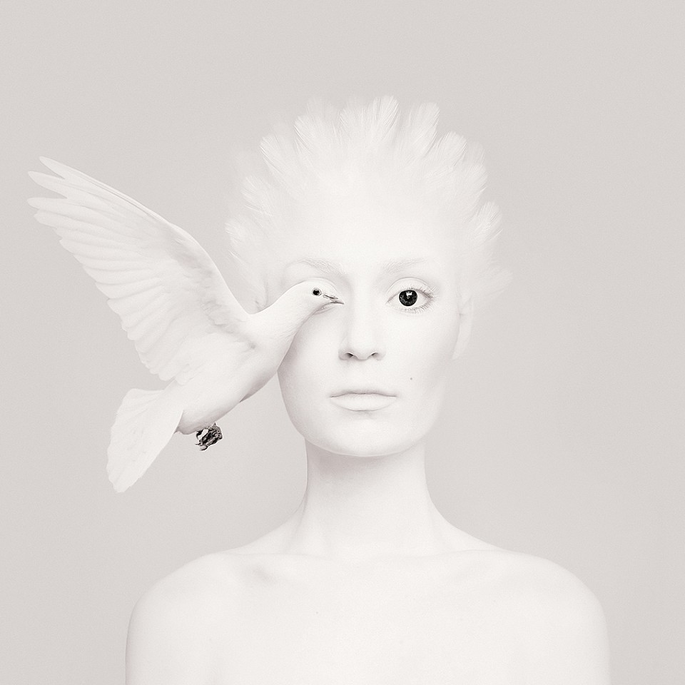 Flora Borsi, Animeyed, Dove
Archival pigment print on Hahnemühle paper, 27 1/2 x 27 1/2 in.