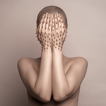 Flora Borsi - Thorns sizes vary