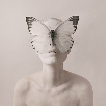 Flora Borsi - Too Late No. 2 available in 4 sizes