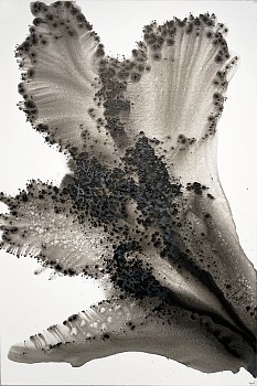 Muriel Napoli -&nbsp;Summer 17 47 1/2 x 31 1/2 in.