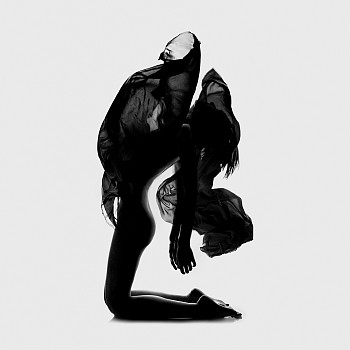 Flora Borsi - Des Monstres II available in 3 sizes