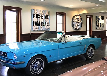 Jane Maxwell - Installation View 