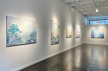 Laura Fayer Solo Exhibition 