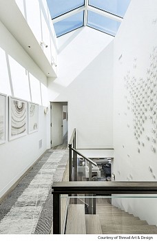 Carolina Sardi - Installation View 