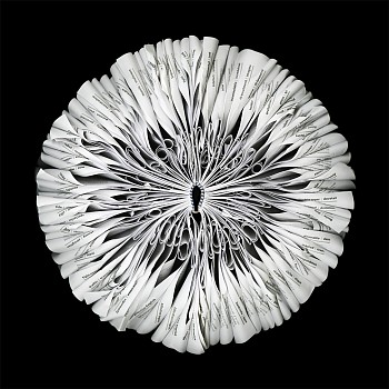 Cara Barer - Oxford Sizes vary