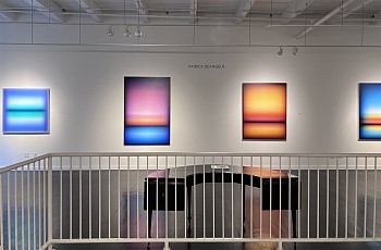 Patrick DeAngelis - Installation View 
